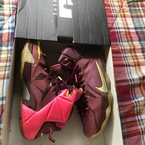 LeBron XII- Merlot/Metallic Silver- VLT-PNK
